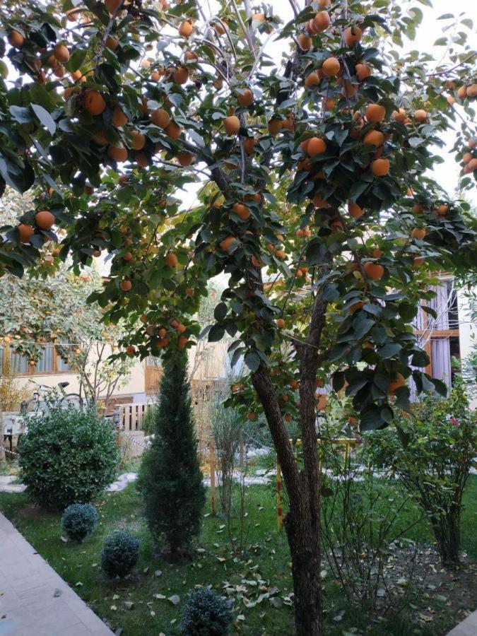 Hostel&Guest House Yousef Steel Samarkand Exterior foto